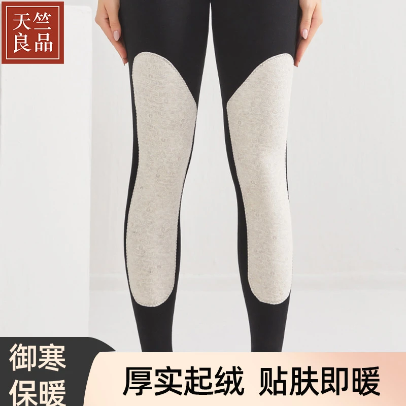天竺良品加厚保暖打底护膝女裤高腰修身无痕秋冬季打底裤Y9106