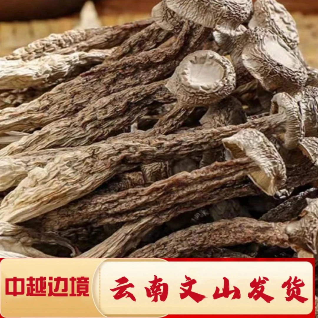 云南深山生长-精选鹿茸菇