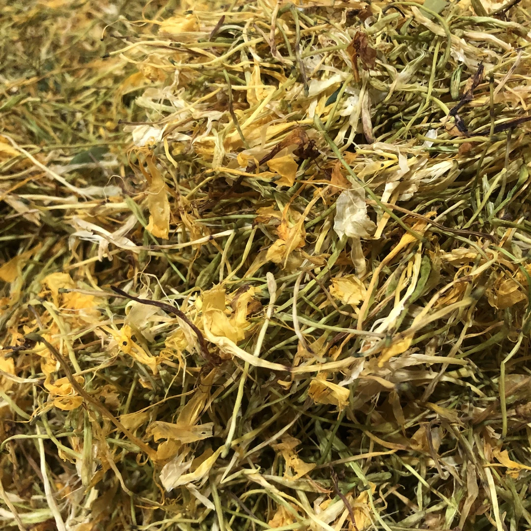 山货雅货五彩金银花100g