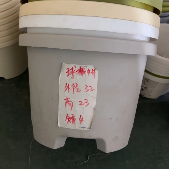 球根4#口径32带托果绿5套