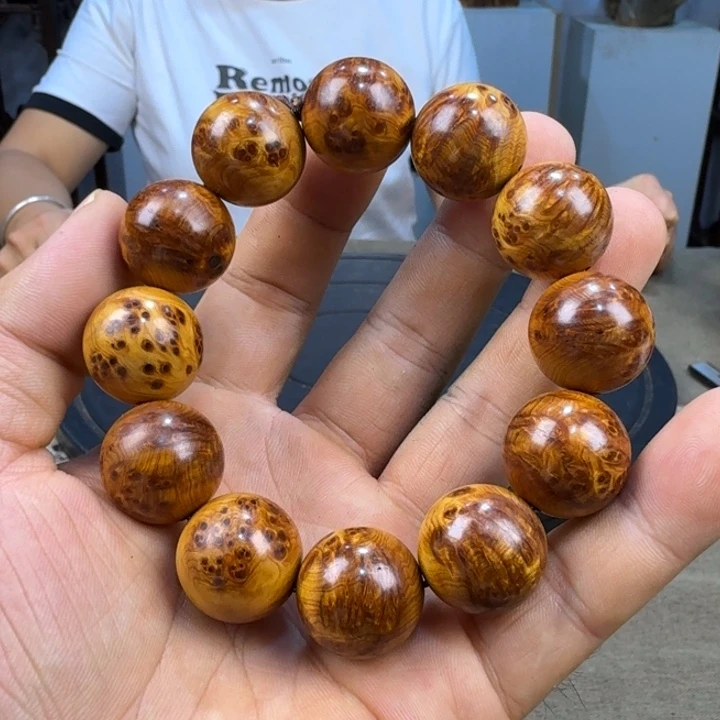 柏木（崖柏）太行崖柏