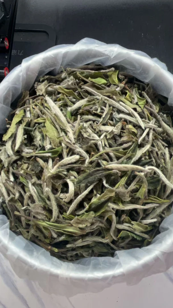 【康潮一品】2025年小翠白牡丹 兰花香！散茶 白茶