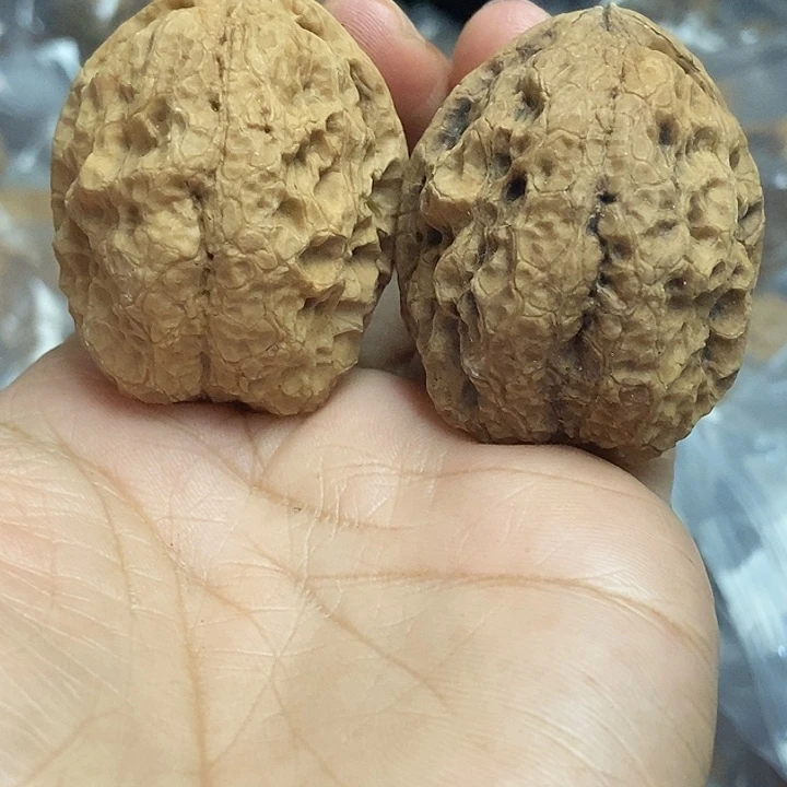 文玩核桃把件云南铁核桃基地47