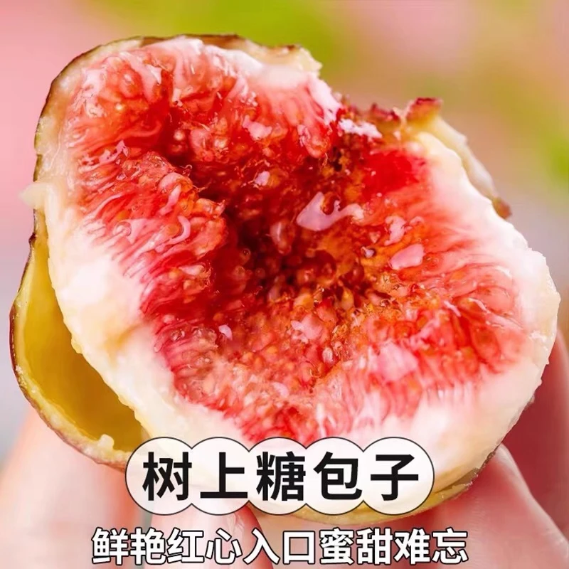 京东包邮波姬红无花果新鲜现摘软糯香甜当季水果