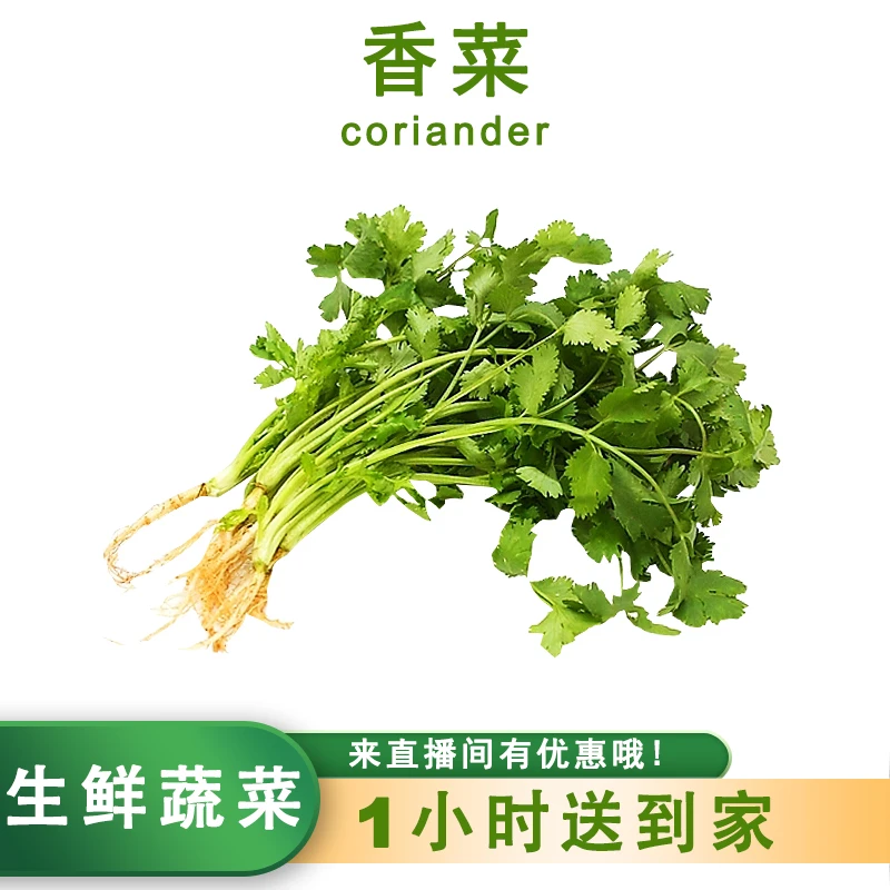 香菜100g左右