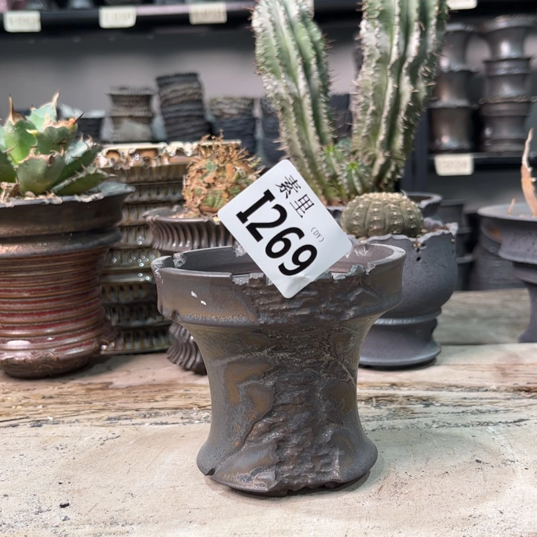 陶内口9.5高9景德镇