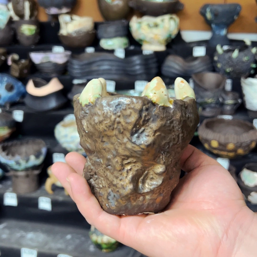 一卌孤品 世界上独有的一只