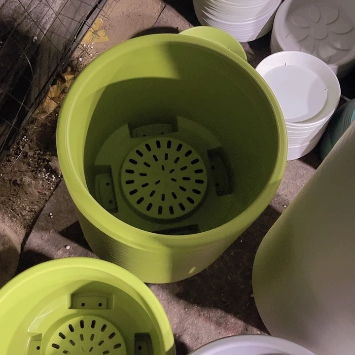 树脂球根盆4号果绿色1个带托