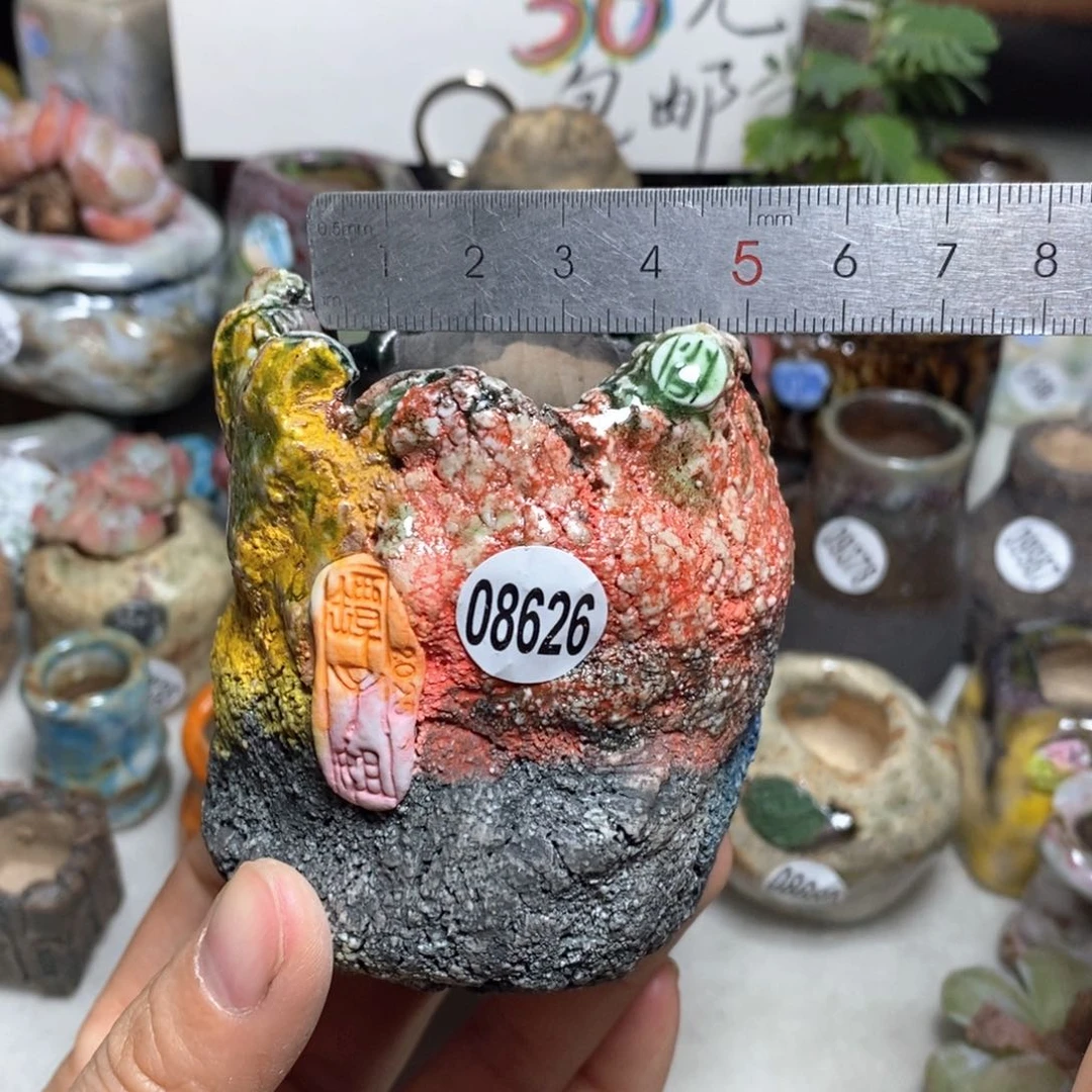 花盆拍3送一个小礼物