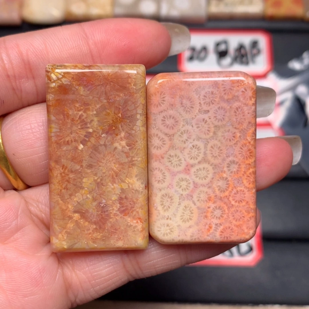 【闪购商品】硅化玉颈饰未镶嵌卡**尼