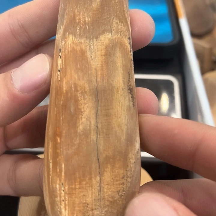 天然猛犸象牙保真品