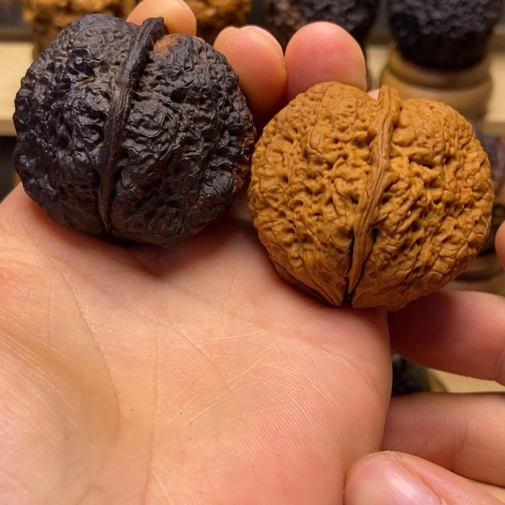 陶***波把件文玩核桃龙脊蝴蝶蟾43