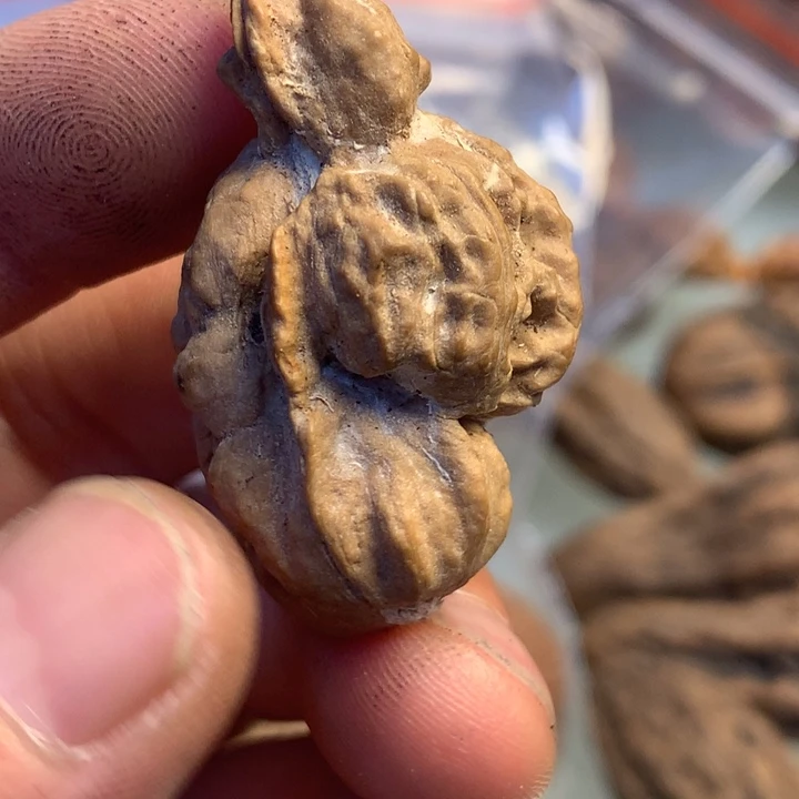 猴头核桃把件拿姐139