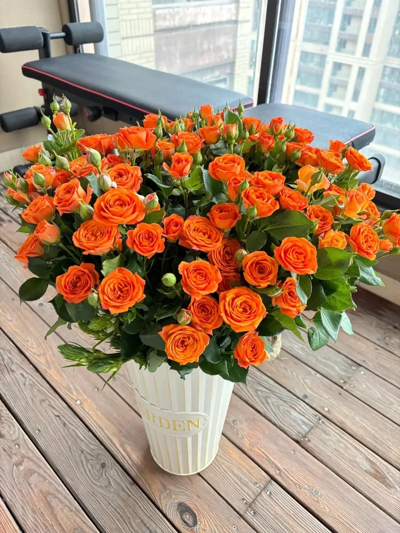 【40枝橙色芭比】云南鲜花 多头玫瑰昆明基地直发一单中通两单顺丰