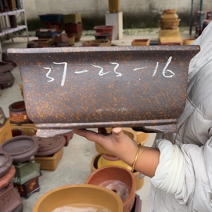 花盆紫砂真的想看