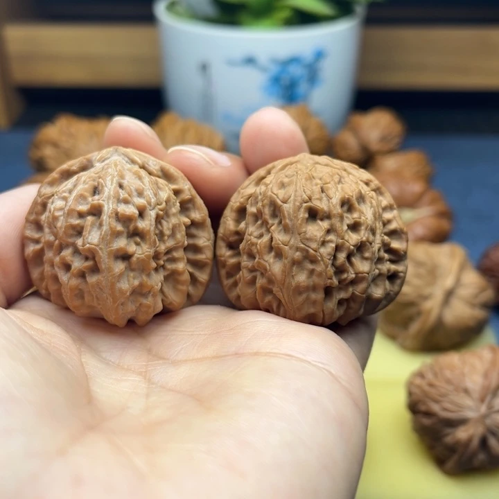 核桃39全品三角白狮子头