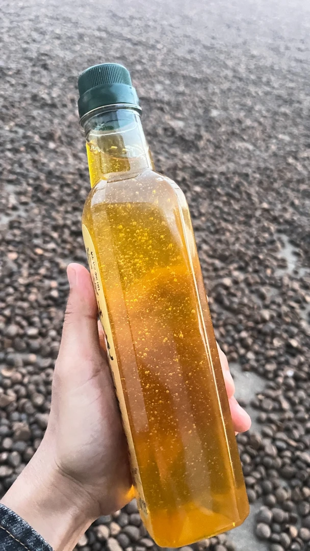 江西赣南正宗高山小茶籽物理压榨纯正老茶树山茶油健康放心老人油