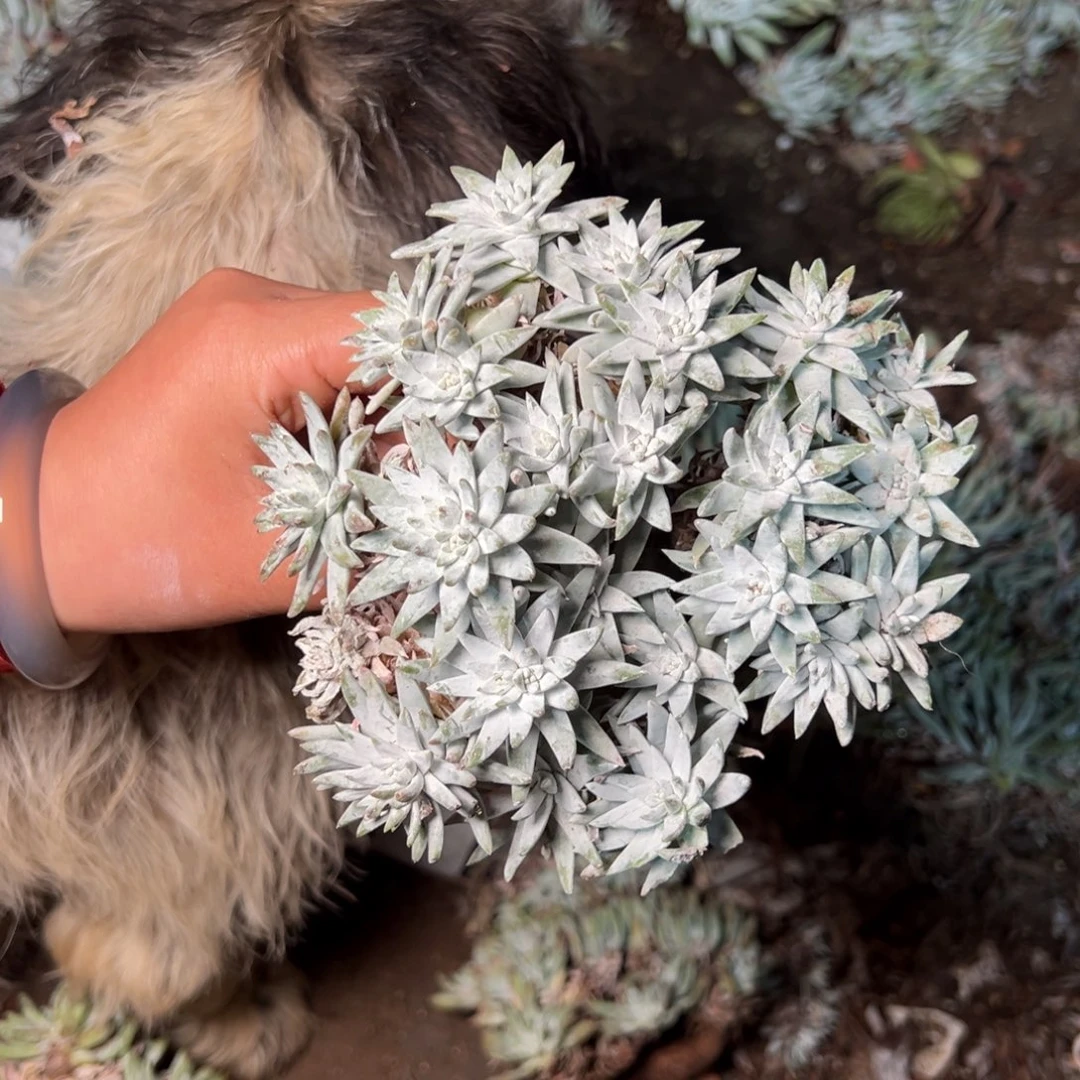 3433哈哈哈哈哈哈哈