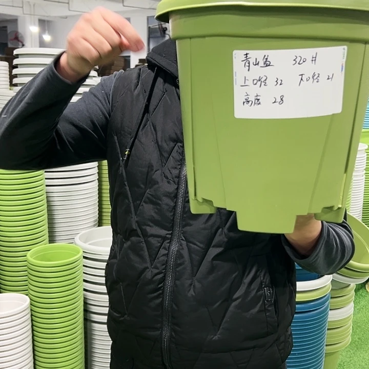 清仓青山口32高28果绿色5只无托