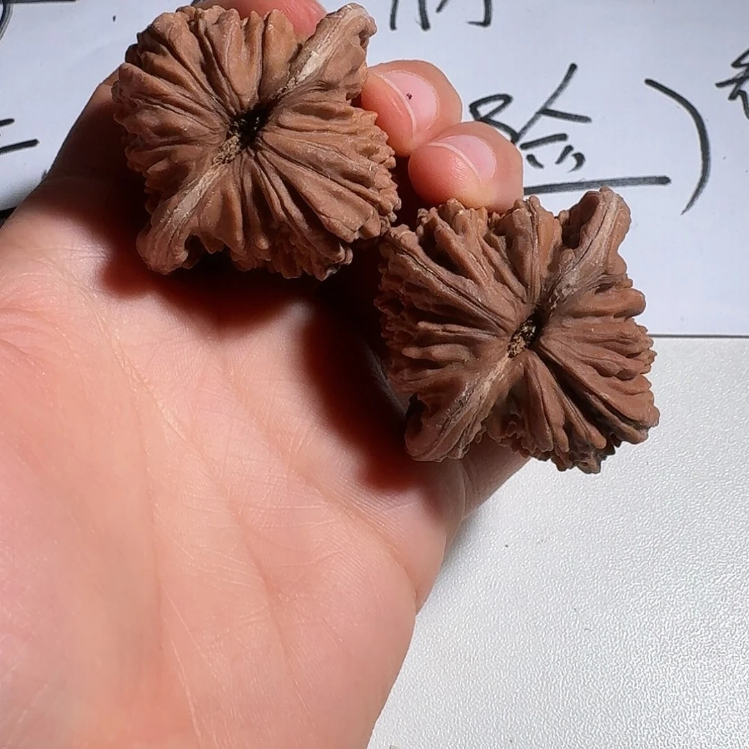 莫***.核桃老树红皮四座楼43全