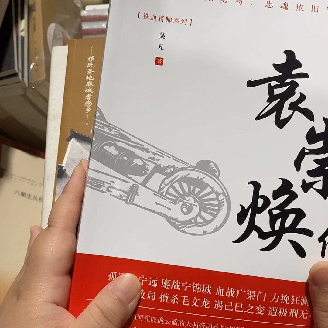 袁老师 传记 库存书平装