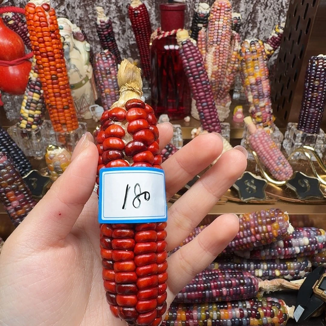 五***风大叶紫檀（黑酸枝木类）