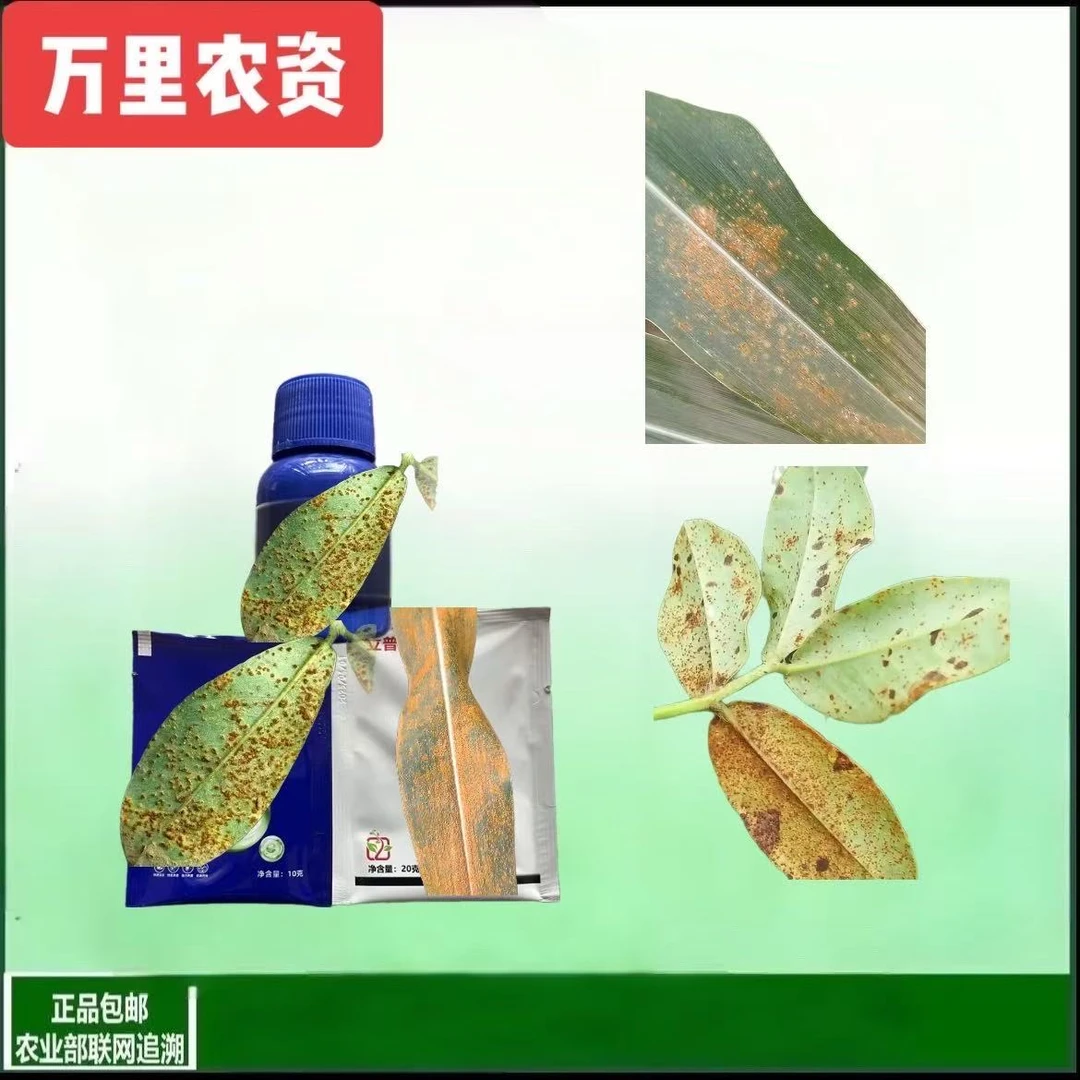 【防锈组合】花生玉米后期防锈叶部问题解决方案