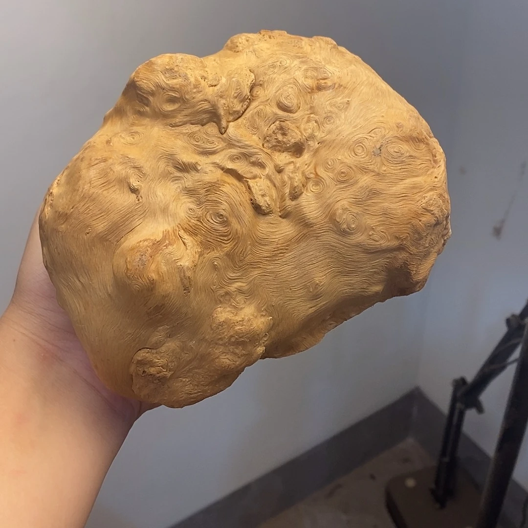 3***治荔枝木荔枝木原料