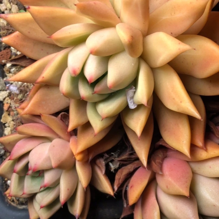 29//////////////////