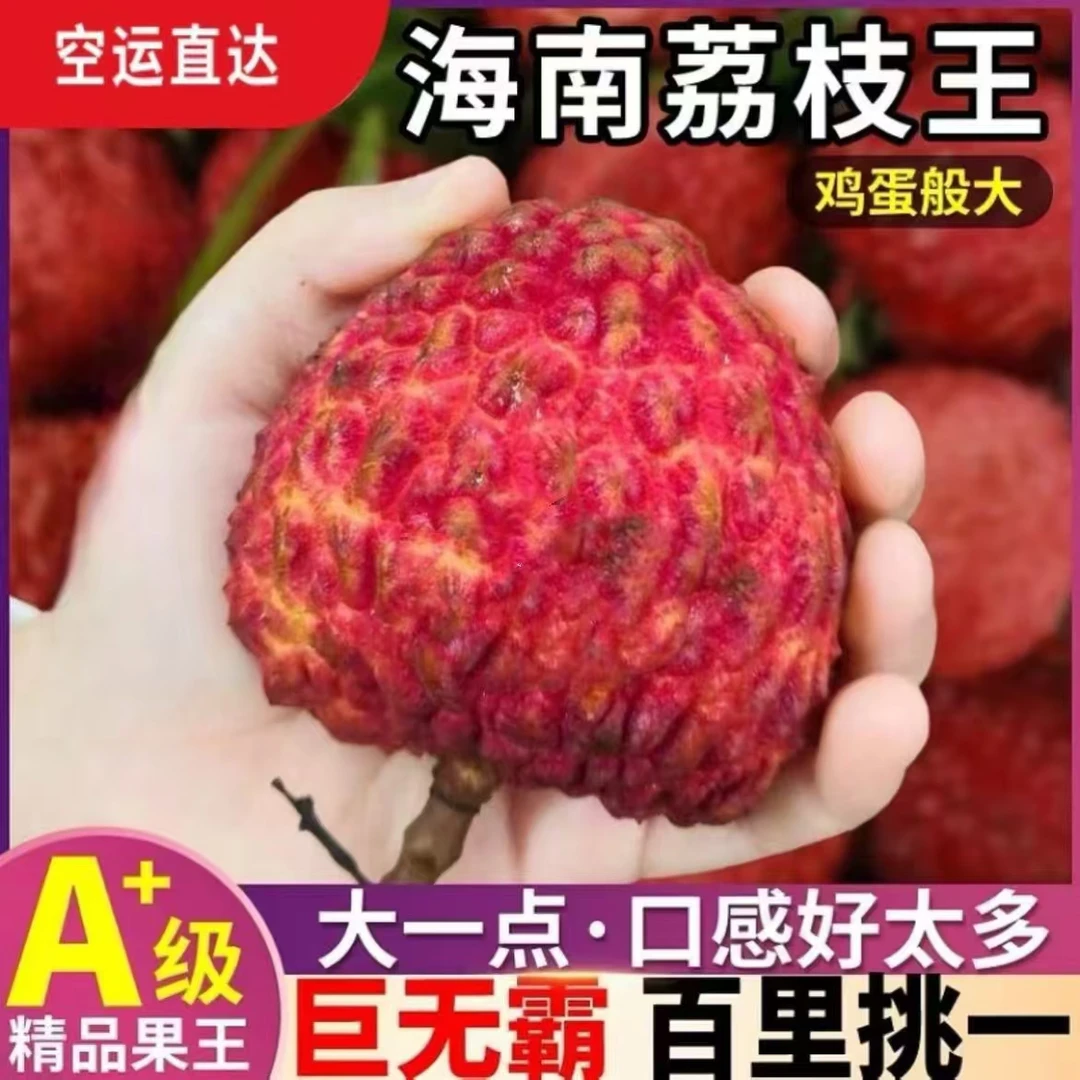海南火山荔枝王特级果50-80克3斤礼盒装(净果2.7斤)坏果包赔