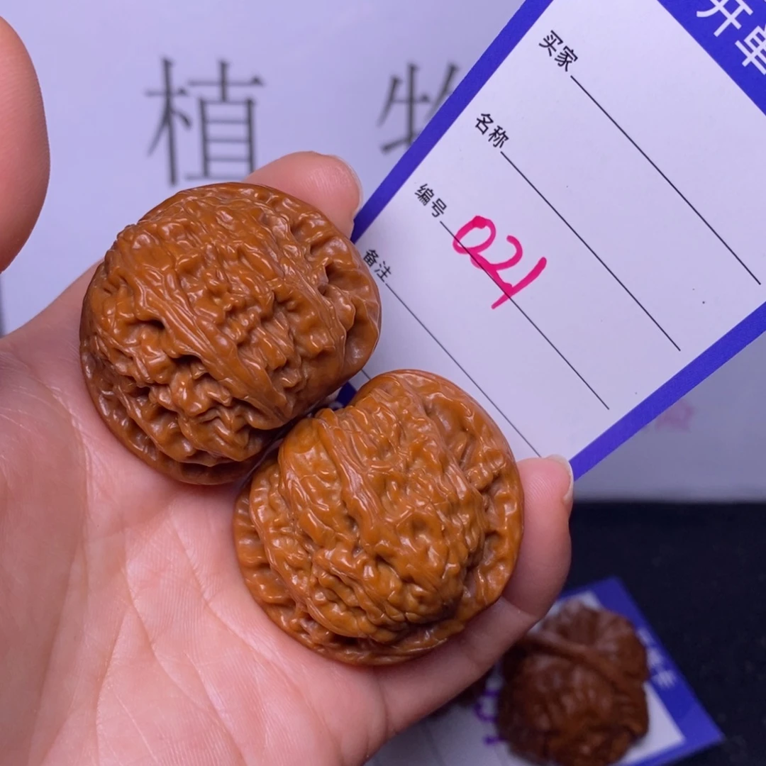 把件文玩核桃021/39.5白狮子福利