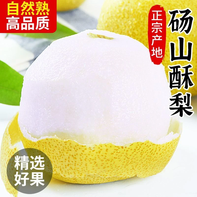 新鲜现摘砀山大酥梨脆甜多汁当季头茬大果包邮新鲜脆甜爆汁口感