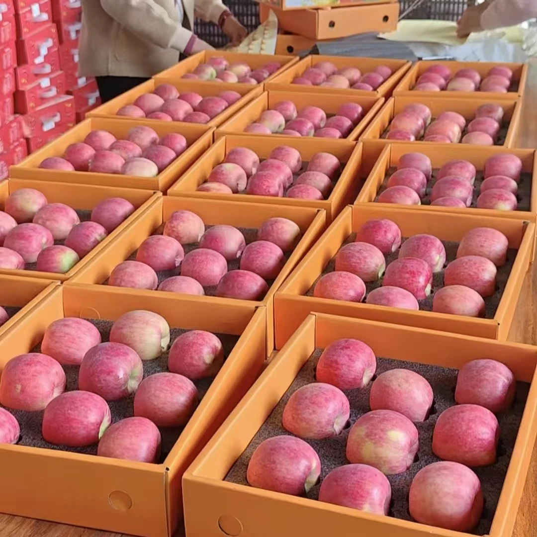 沂蒙脆苹果新鲜苹果水果皮薄肉厚脆甜可口新鲜优果嘎啦果