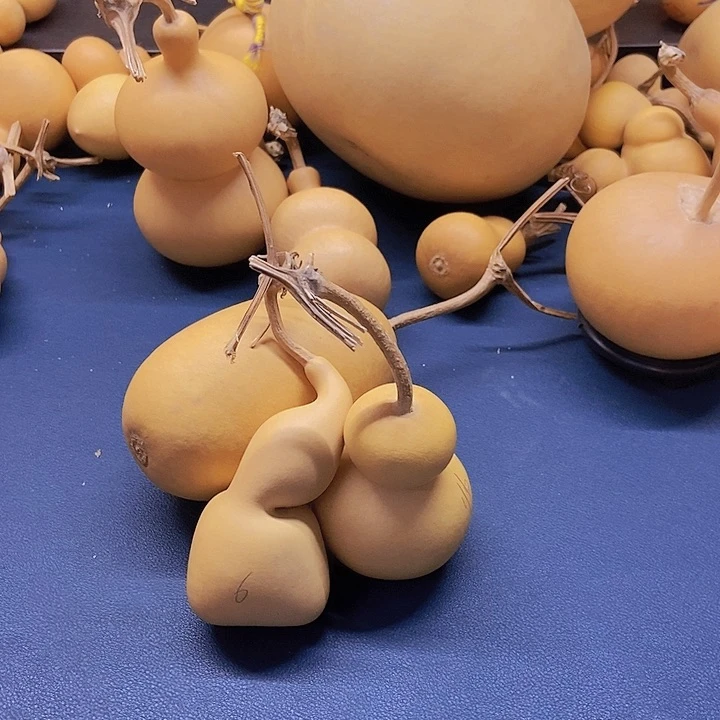 史上第一帅恭喜发财