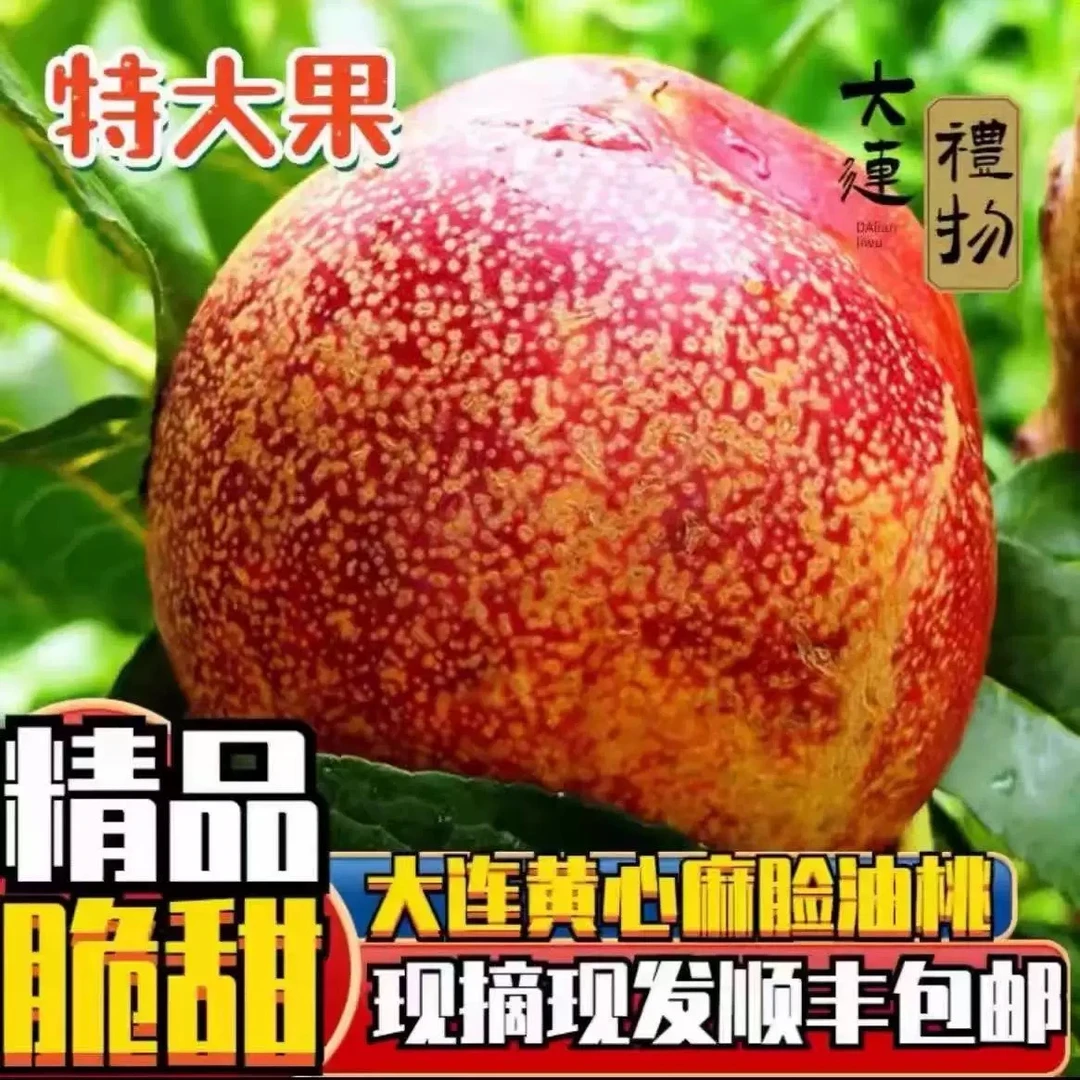 大连麻脸油桃黄鑫油桃脆甜特大红桃5斤