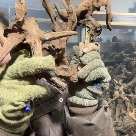 香榧木二**说火琉璃的故事毛料摆件