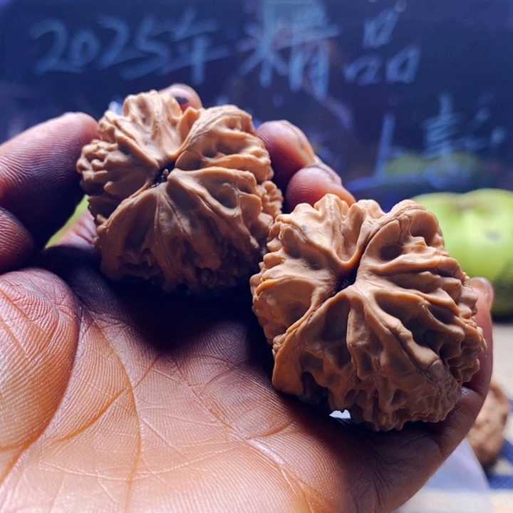 帆***烦把件文玩核桃大沽石