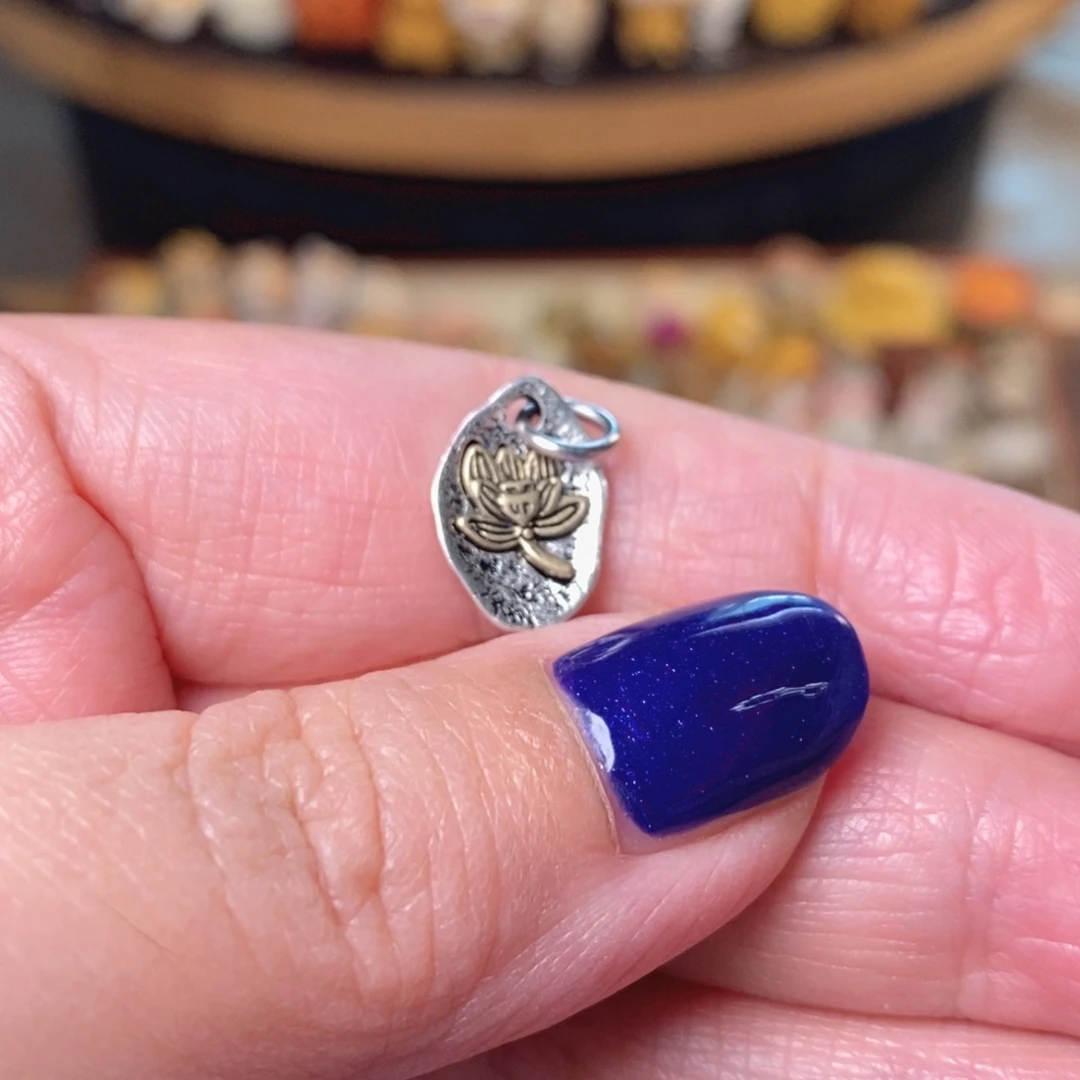 菩提籽类文玩配饰