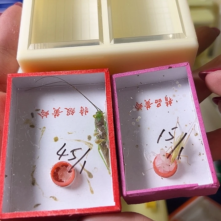 …***z蟋蟀哈哈哈哈哈哈哈哈哈哈