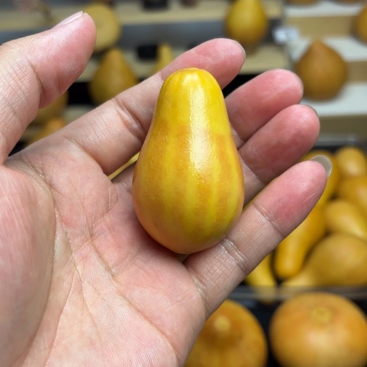 .****x葫芦福利初五发货