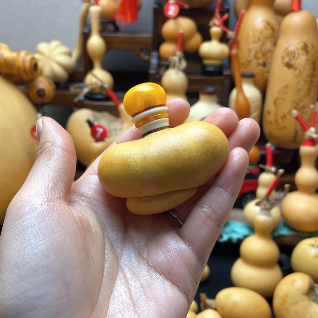 赫*呀大自然的秘密第十一节