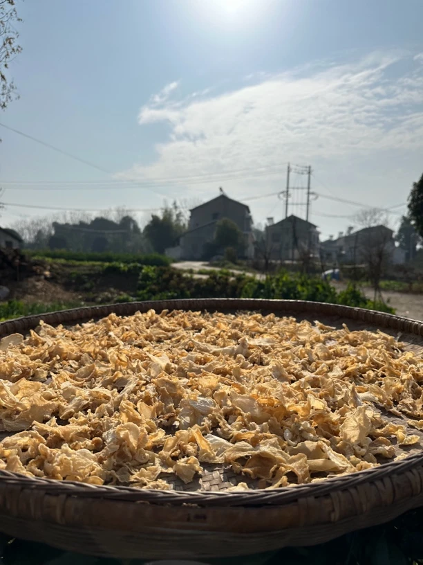 真正农村农家自然晾晒的萝卜干萝卜皮不施肥不打药