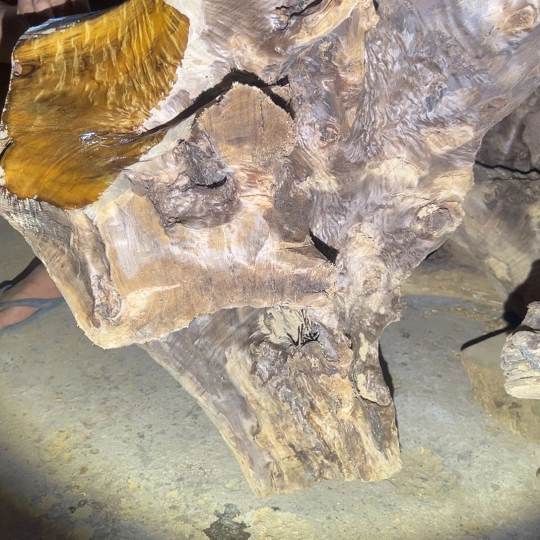 金丝楠木****坊1111111111111