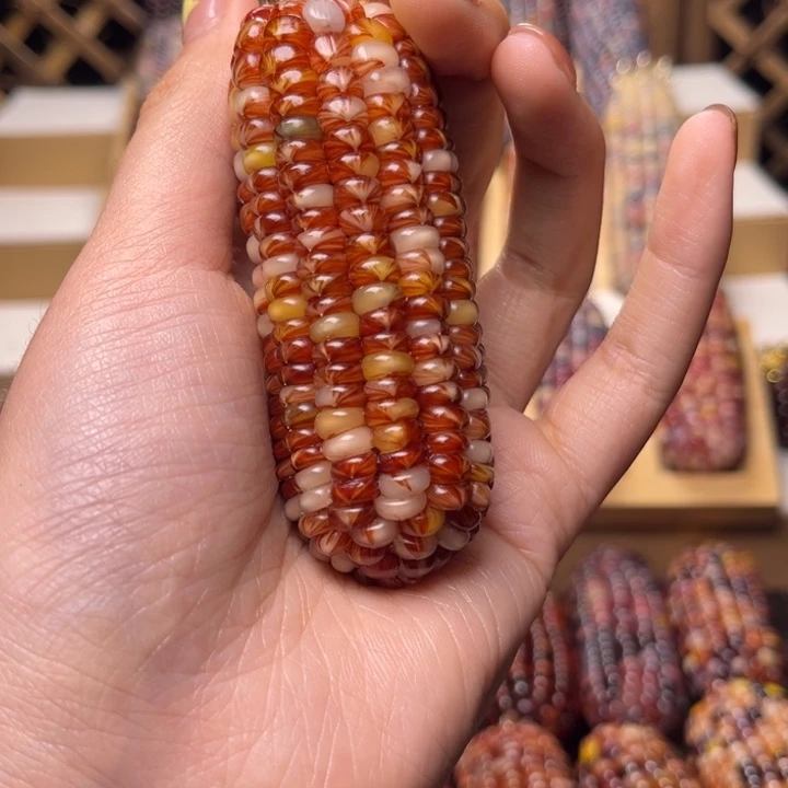文玩玉米橙色血线