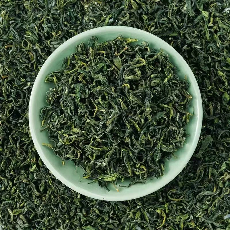 正宗山东日照绿茶