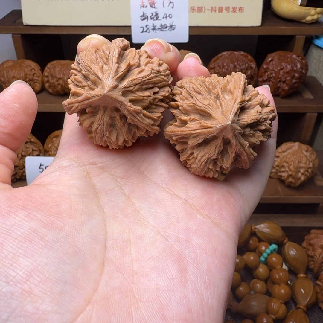 道哥俱乐部文山三棱正奔