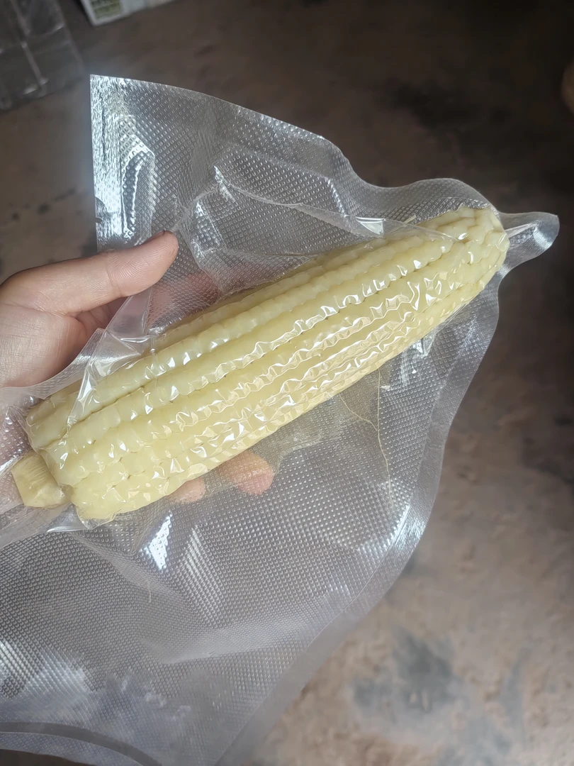 四川本地农家自种白玉米新鲜香糯玉米白包谷真空包装早餐