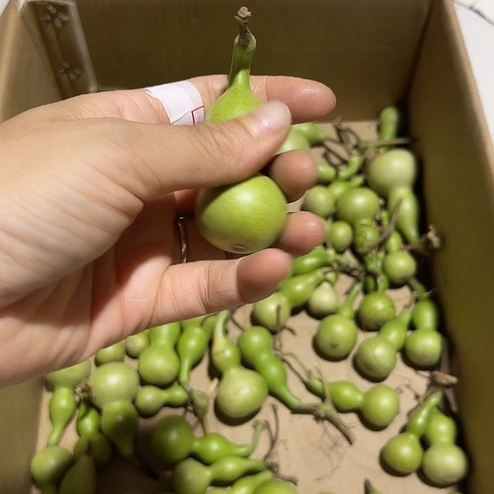 香榧木龙*风他人说是在那上班吗