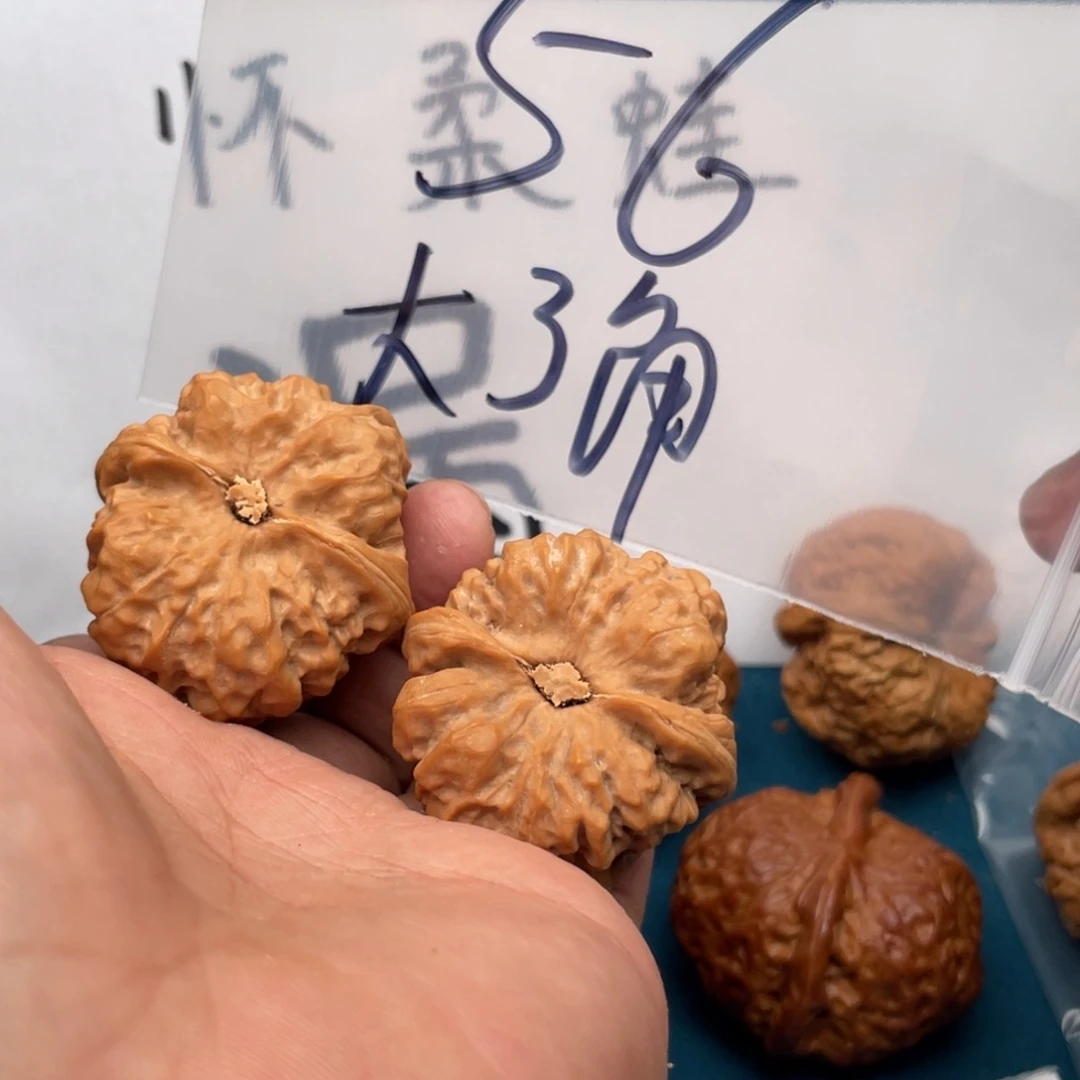 橄榄核手串/手链W638386386583385