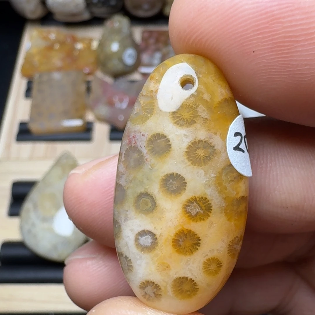 未镶嵌纯天然色有机玉石保真色硅化玉